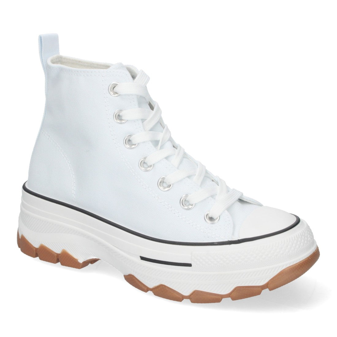 EV-100-Hielo