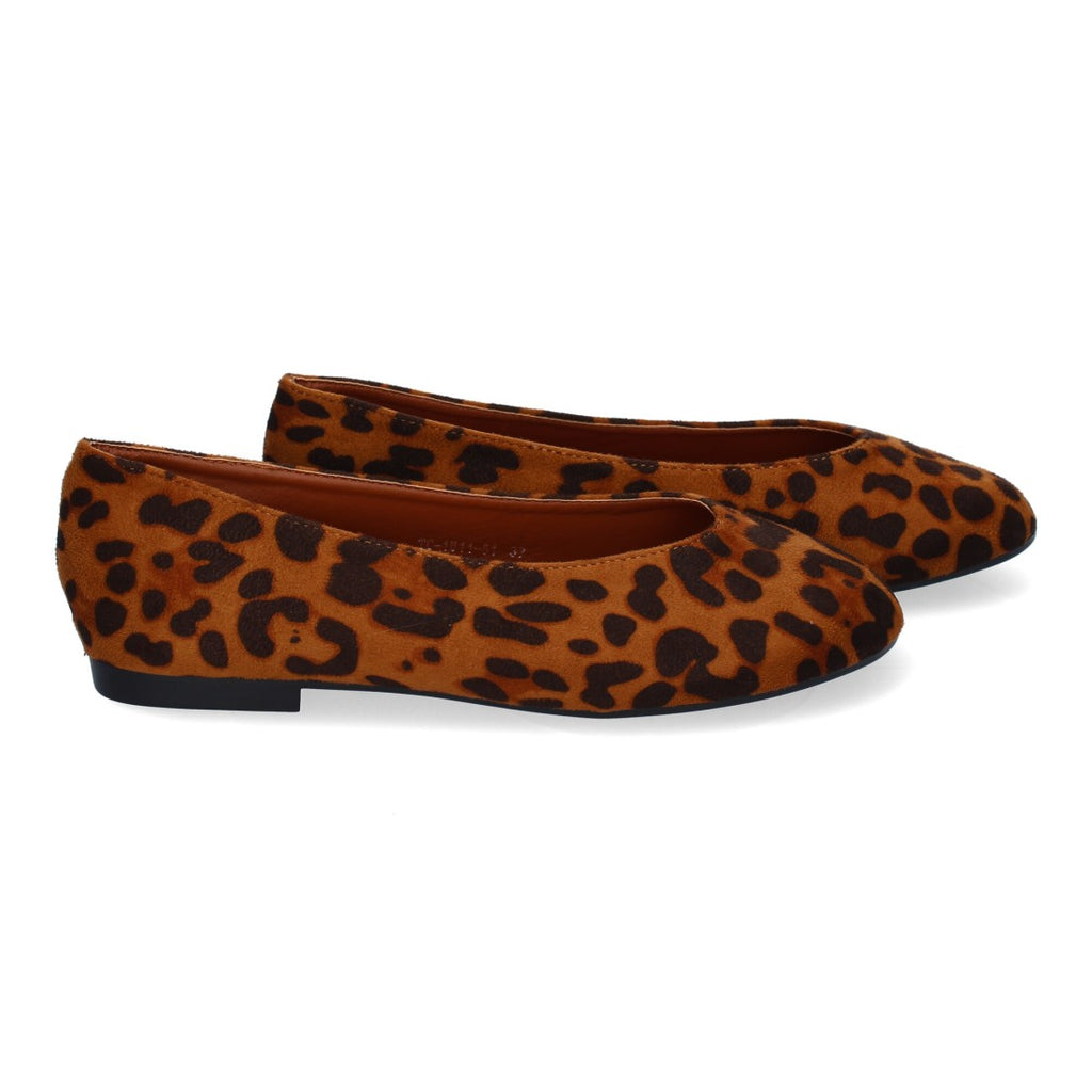 1U11-Leopardo