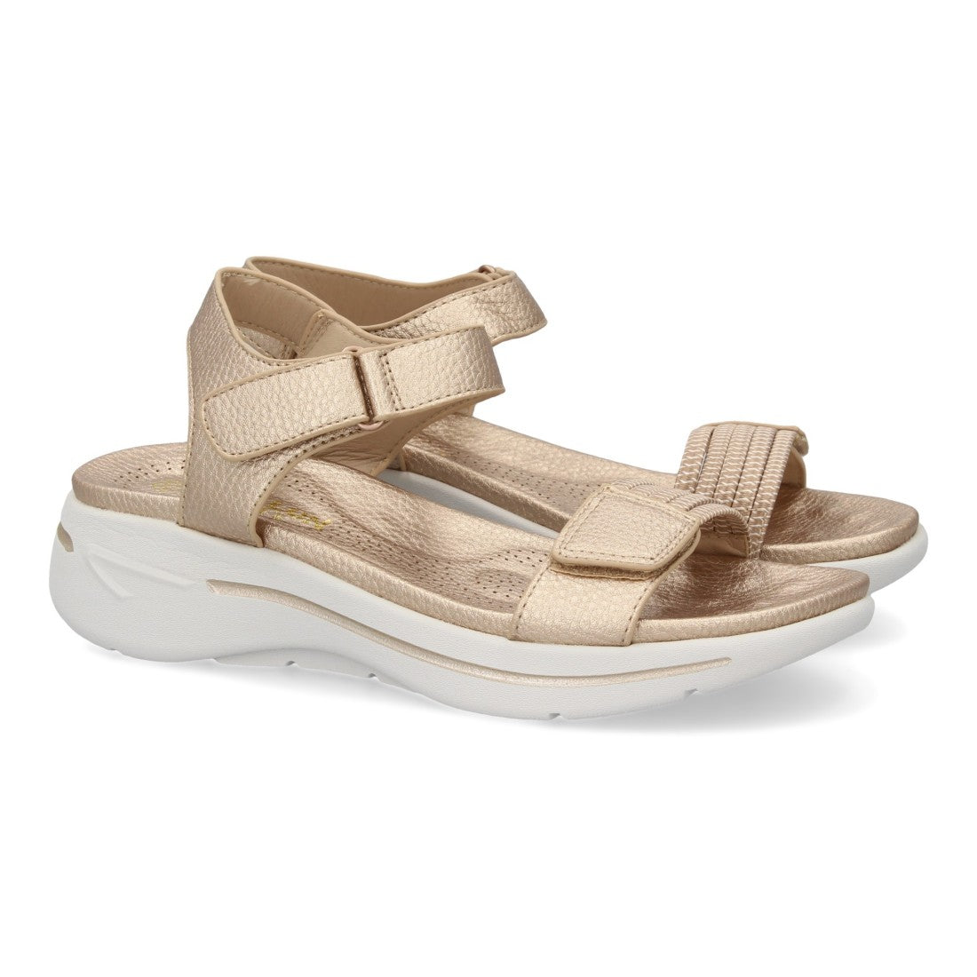 HLS-0691-Champan