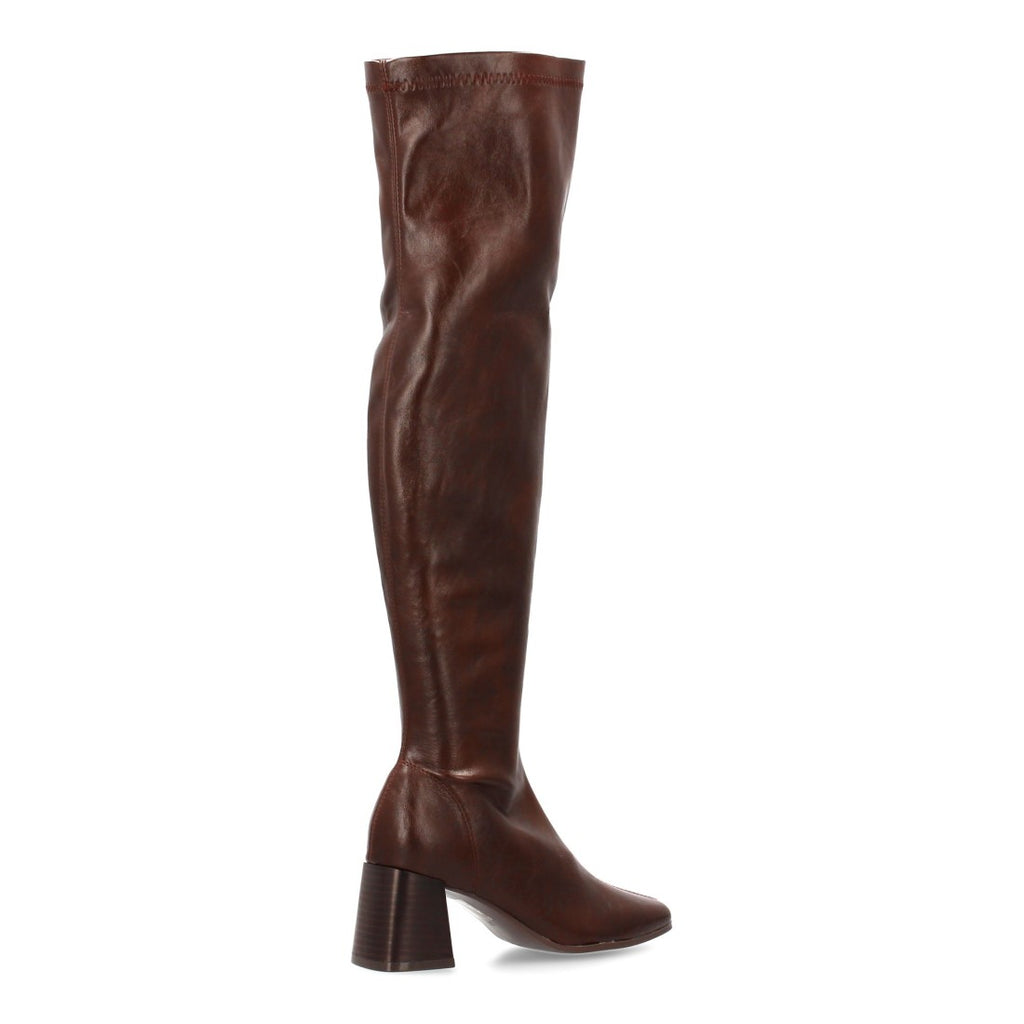 BB-5564-Marron