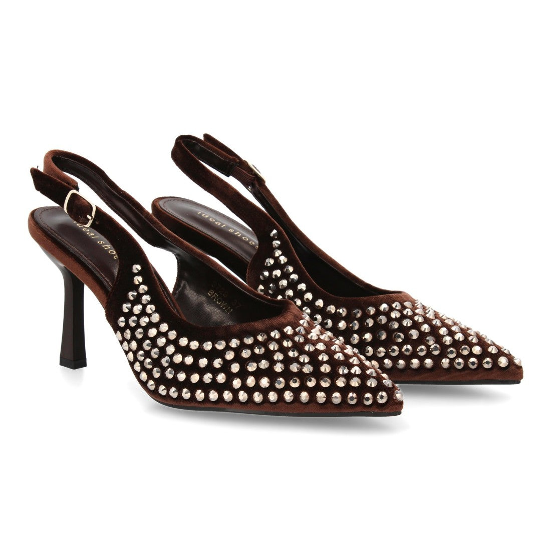 9729-Marron
