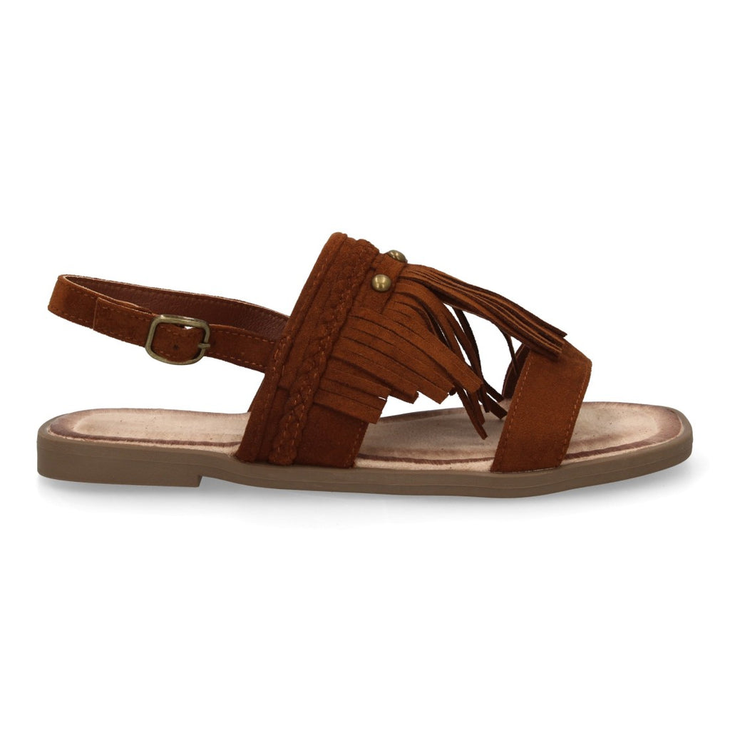 TF1108-Camel