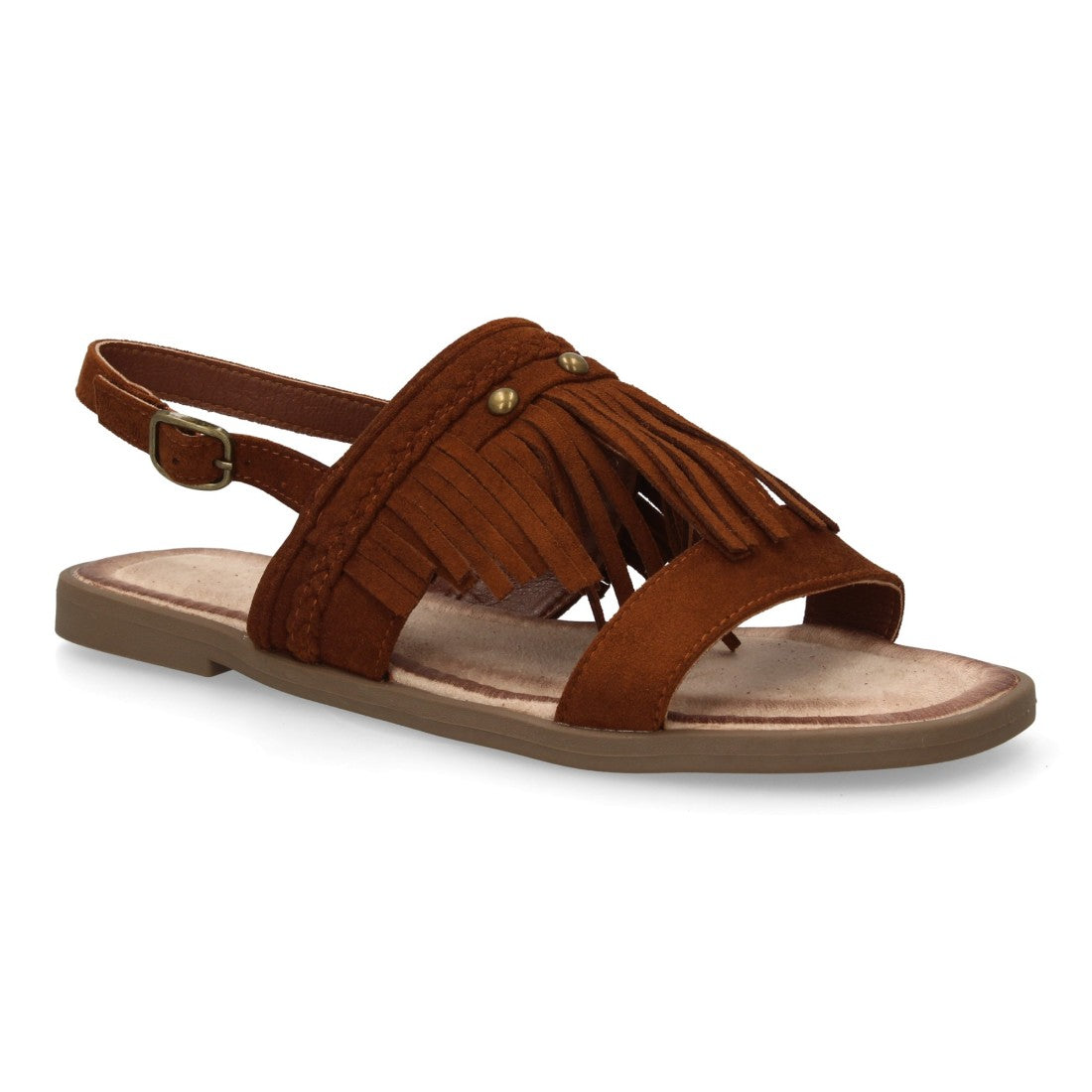 TF1108-Camel