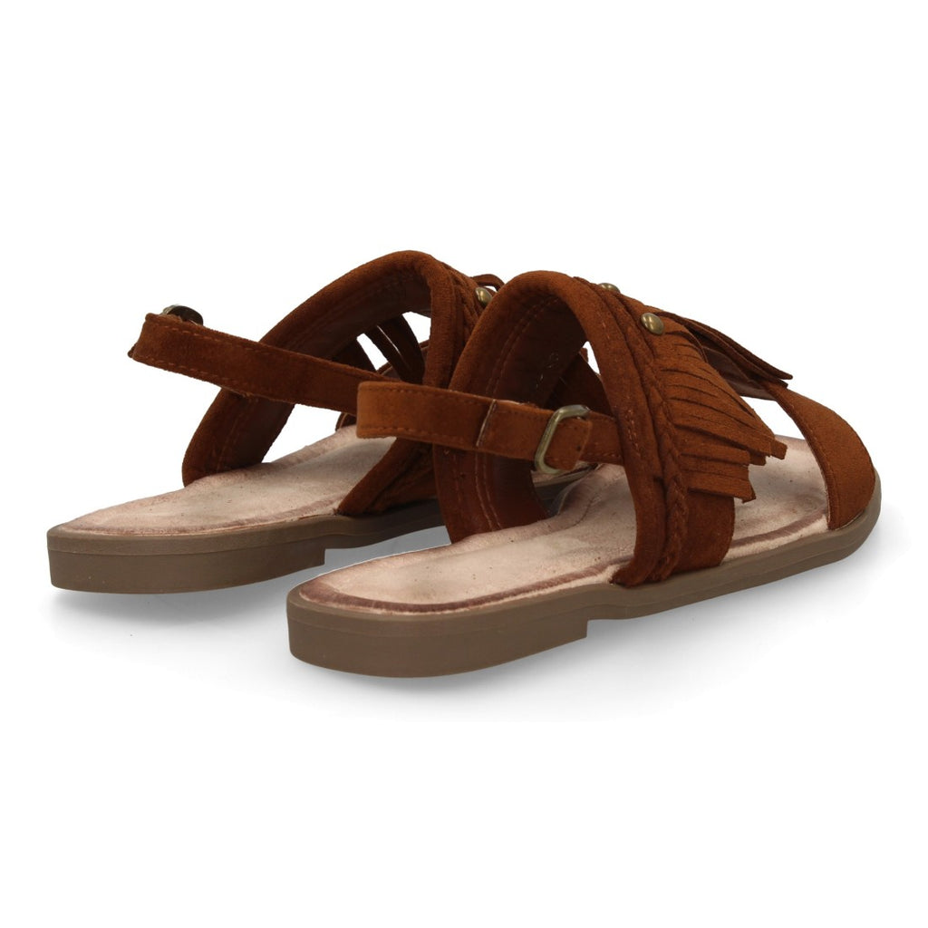 TF1108-Camel
