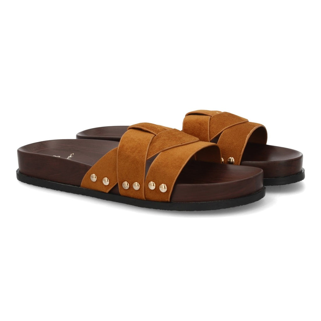 OH-578-Camel