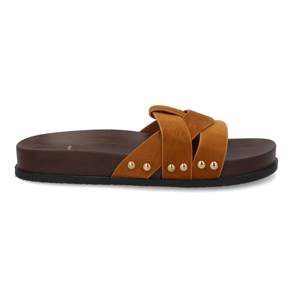 OH-578-Camel