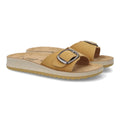 6545-Camel
