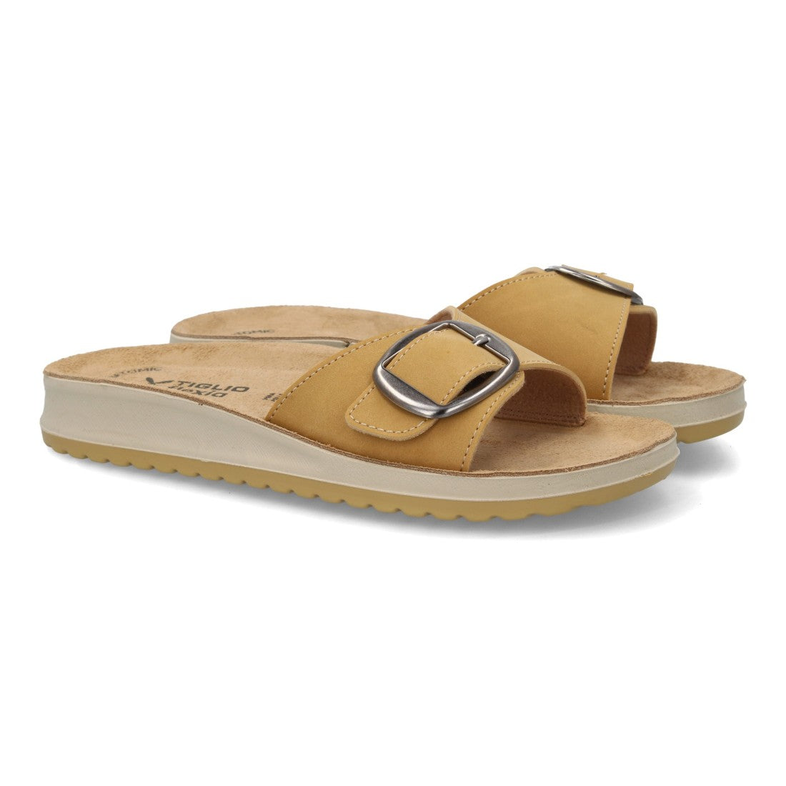 6545-Camel