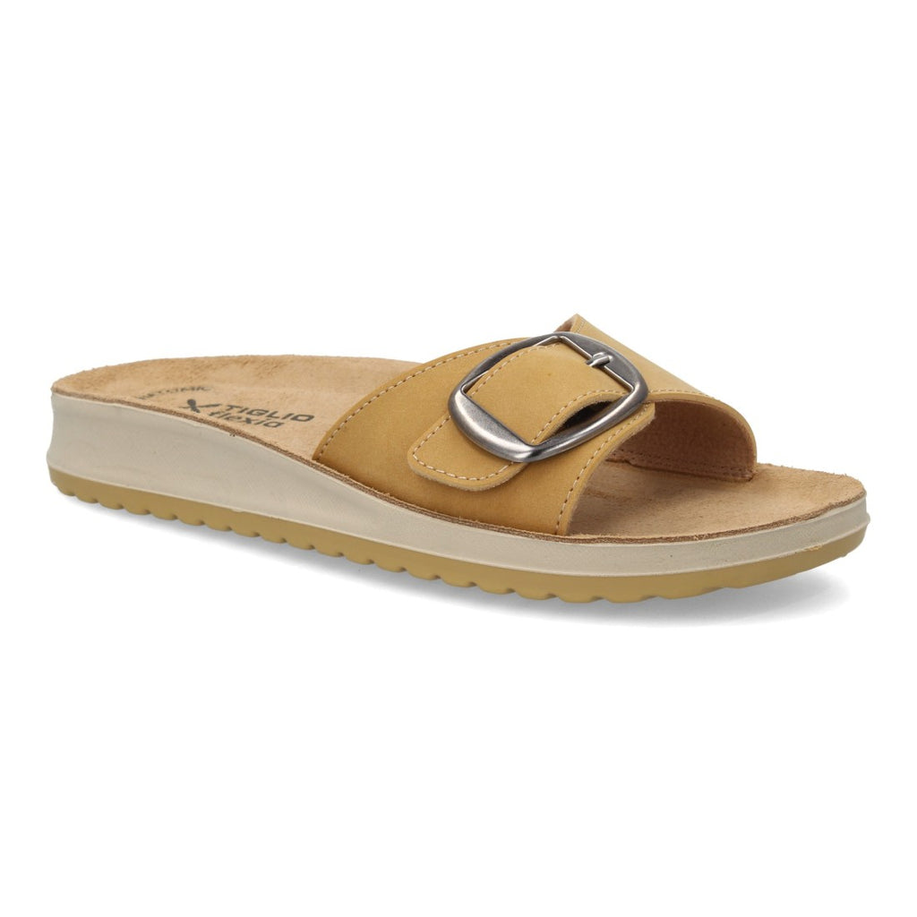6545-Camel