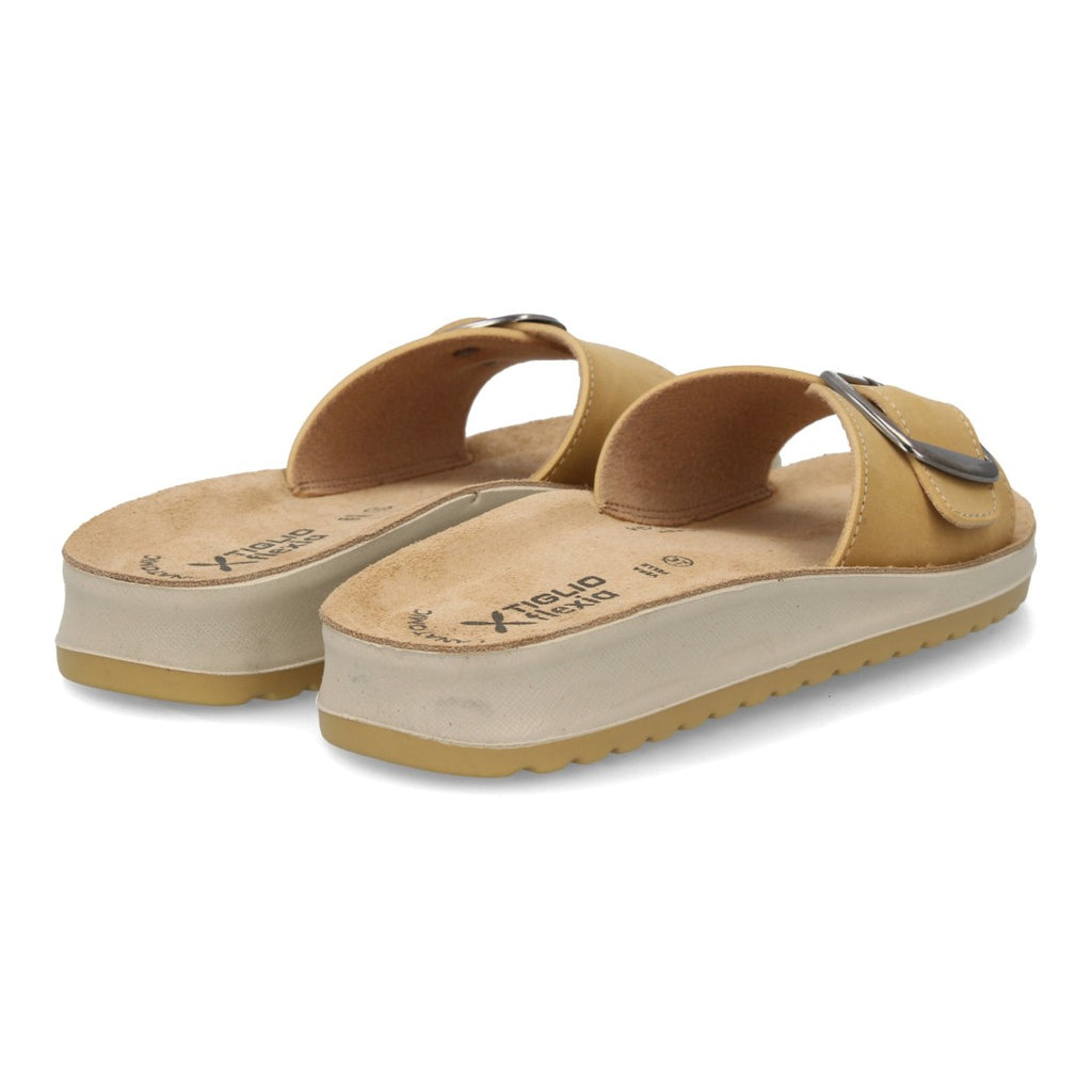 6545-Camel