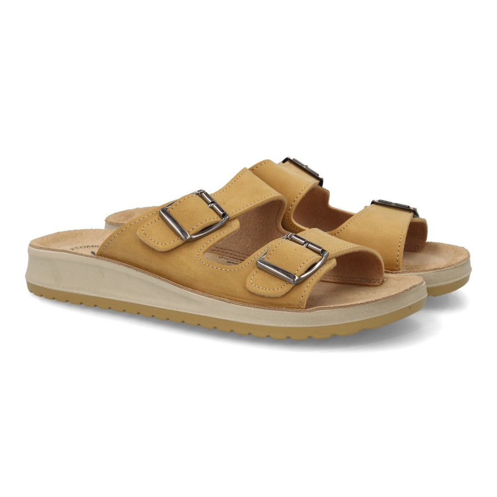 6542-Camel