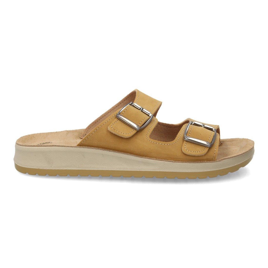 6542-Camel