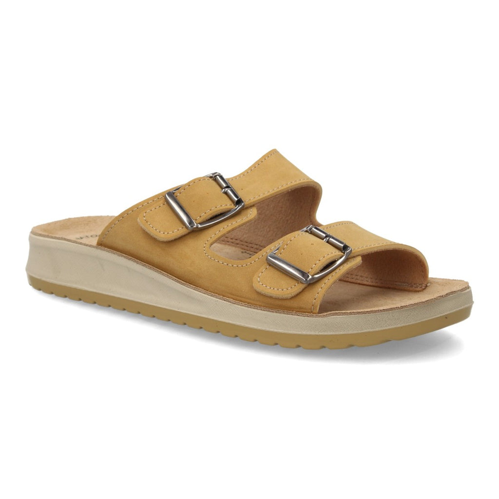 6542-Camel