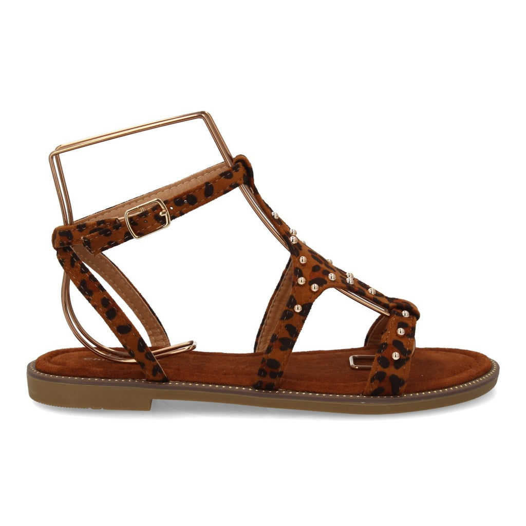 TF6068-Leopardo