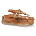 1AF-1669-Camel